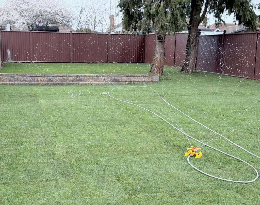 Natural lawn being watered by a sprinkler in a family garden, illustrating maintenance requirements for the artificial grass vs natural turf comparison by AAS Group Construction