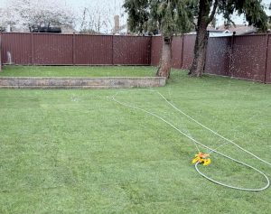 Natural lawn being watered by a sprinkler in a family garden, illustrating maintenance requirements for the artificial grass vs natural turf comparison by AAS Group Construction